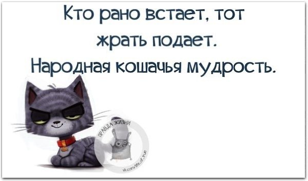 ������ ����� - 31 ����� 2021 � 21:48