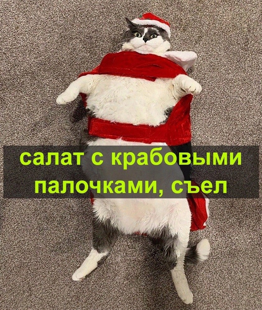   :D - 31  2021  16:19 - 2