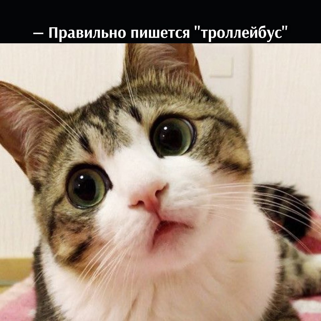       - 21  2021  16:39 - 4