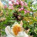 ���� ����, �����-���������, 68 ��� - ��������� 9 ���� 2021 � ������ ����� 2021�