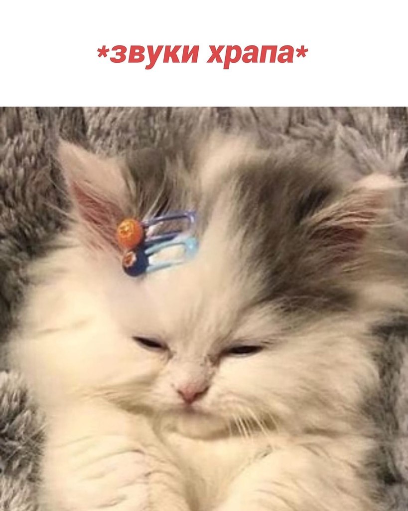 ���-�� ��� � �����, �� � ����� �� ������.������� - 4
