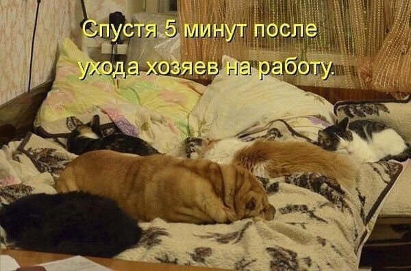    - 21  2021  11:34