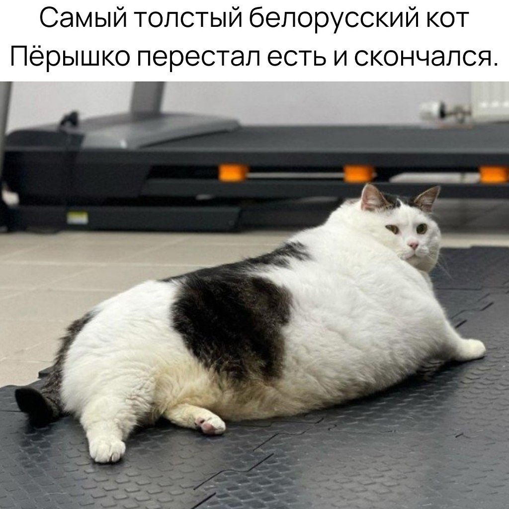 ϸ     ,       .    . ...
