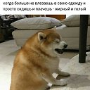  , -, 49  -  18  2021    