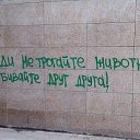 ���� *Bagira*, ����������� - ��������� 18 ������� 2021 � ������ ���� ����������