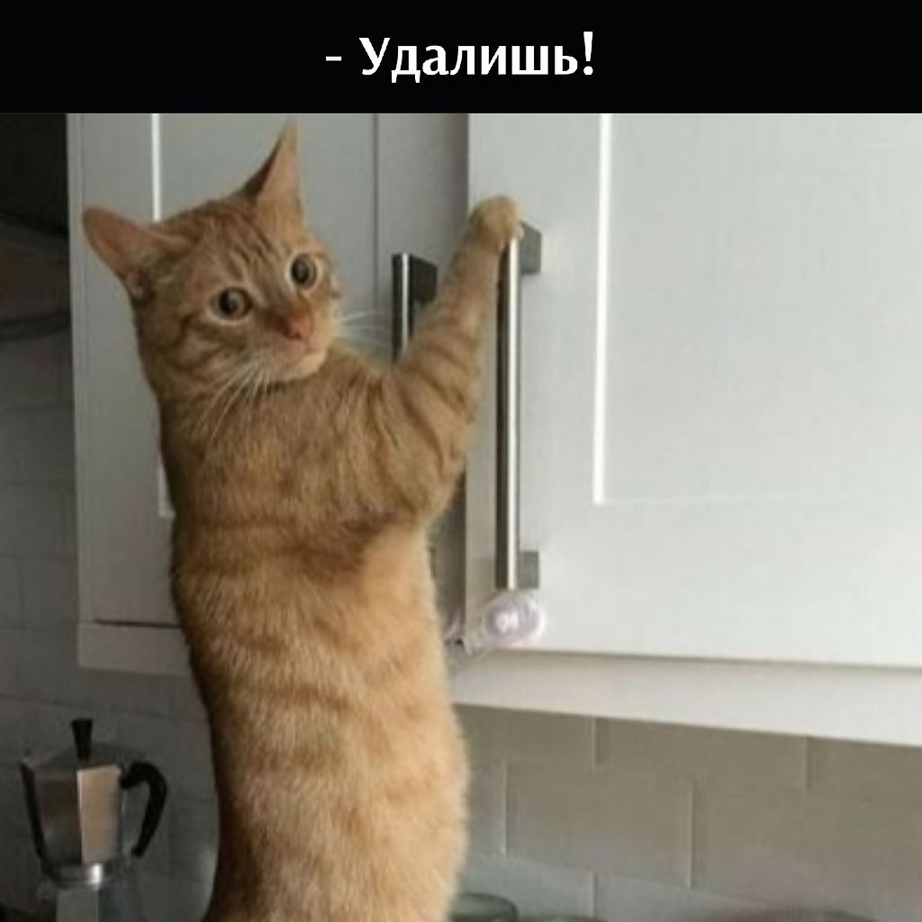       - 15  2021  16:04 - 3