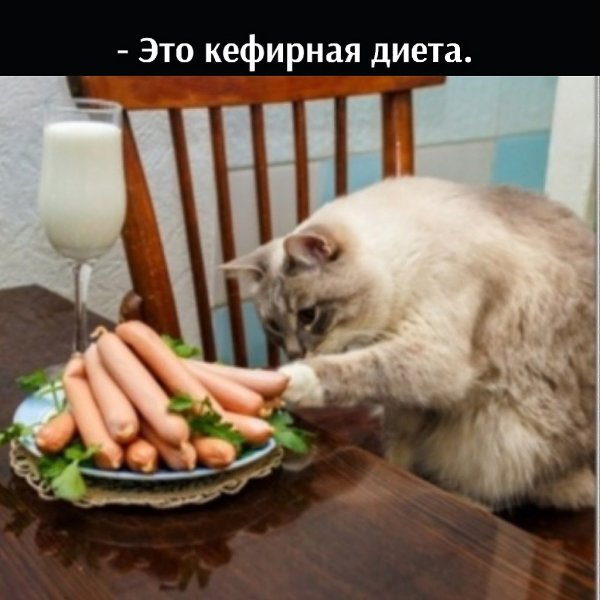       - 11  2021  22:26 - 2