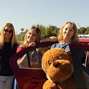 ���� ������ �����, ������, 36 ��� - ��������� 16 ���� 2021 � ������ �������� � ������� �����. �������� �������.�