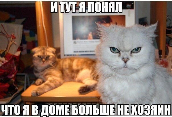    - 20  2021  13:41