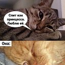 ���� �������, ��������� - ��������� 27 ������� 2021