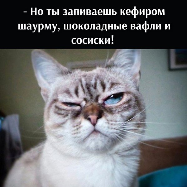       - 11  2021  22:26 - 3