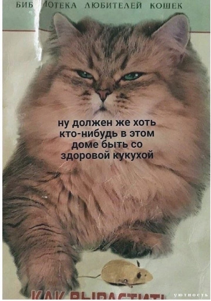      ?) - 2