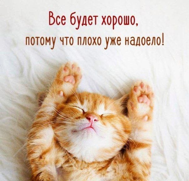   - 28  2022  20:42