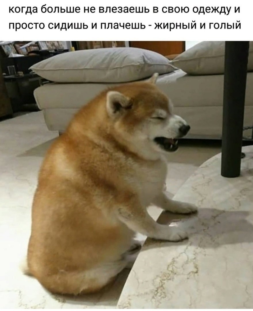  - 18  2021  19:19