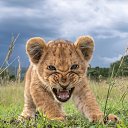 ���� Aleksandra, ����������� - ��������� 17 ������� 2021