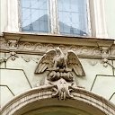   ......., , 51  -  26  2021   