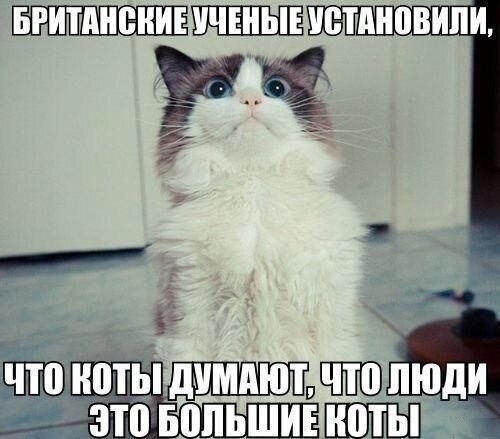    - 12  2021  07:15