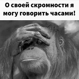 �, �����������, 48 ���