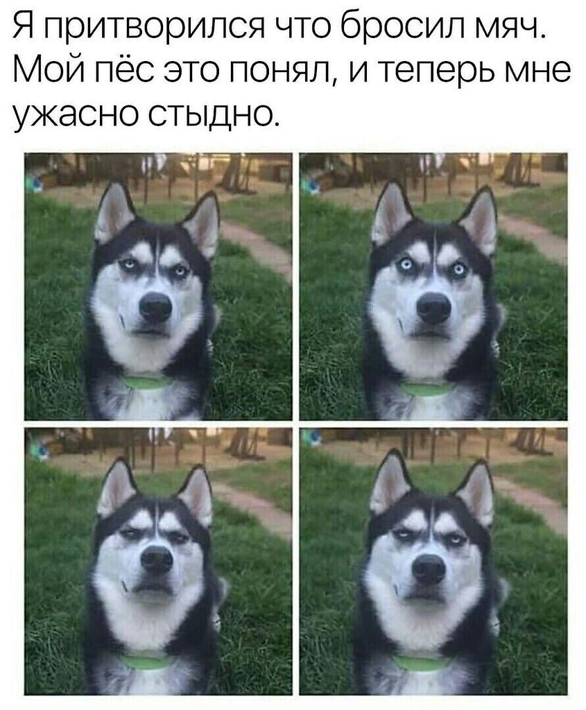  - 18  2021  18:21