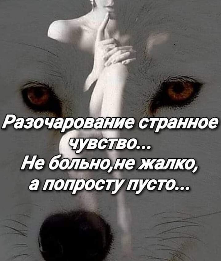   - 25  2021  19:53