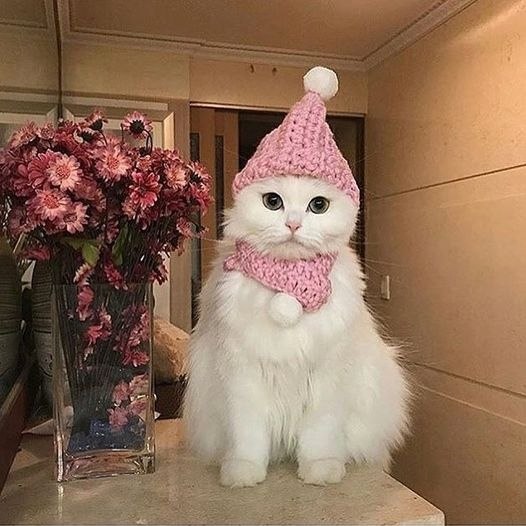 )))