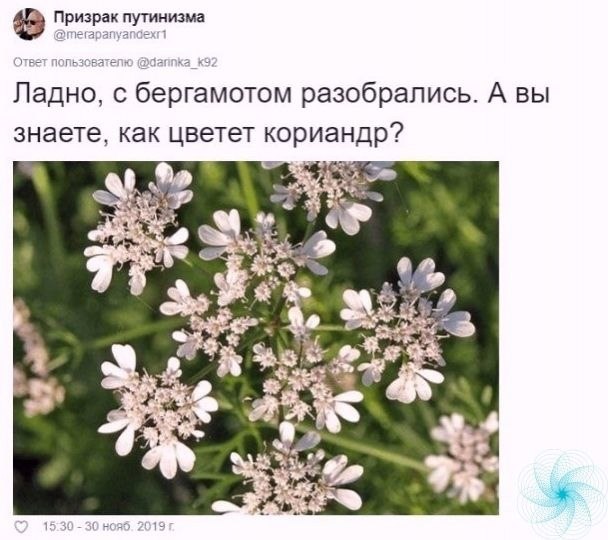     ! - 3
