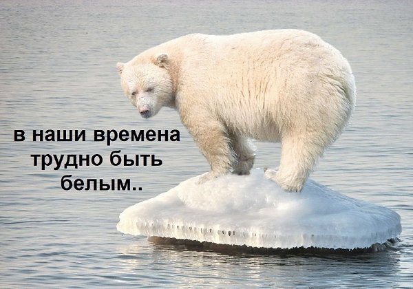 Вот это, конечно, судьба у мишки... Хорошо, что всё хорошо закончилось! Шальная - 5