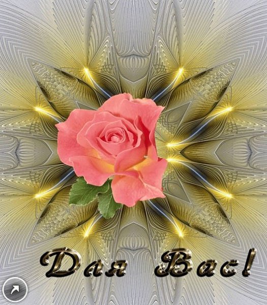   ,    . - 1  2021  16:28 - 2