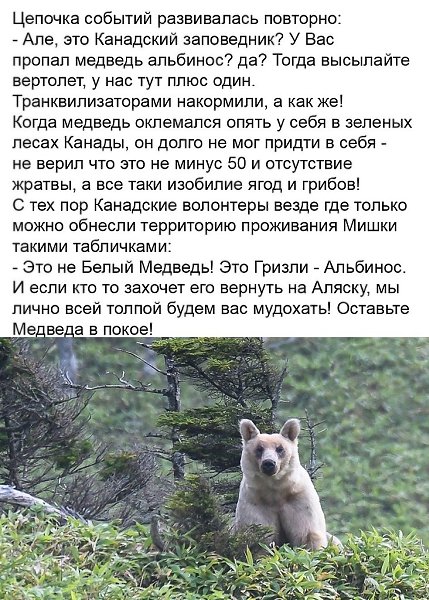 Вот это, конечно, судьба у мишки... Хорошо, что всё хорошо закончилось! Шальная - 4