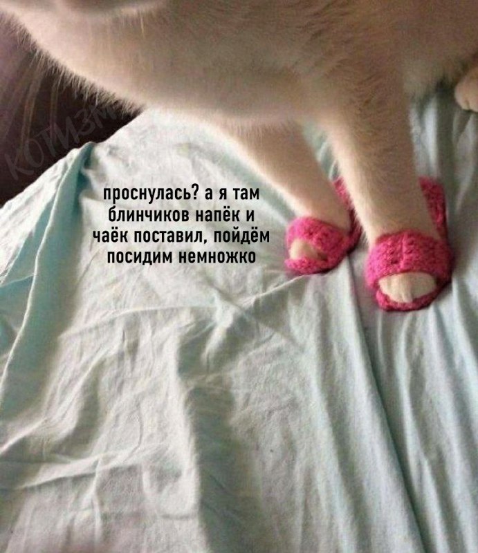   ,        :
