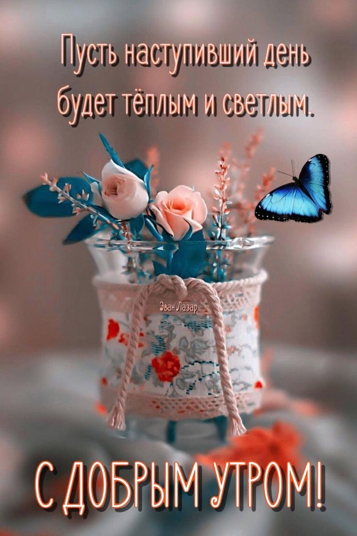 ***Victoria Viktorovna*** - 19  2021  02:57