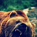 ���� �������, �����, 31 ��� - ��������� 16 �������� 2021 � ������ ���� ����������