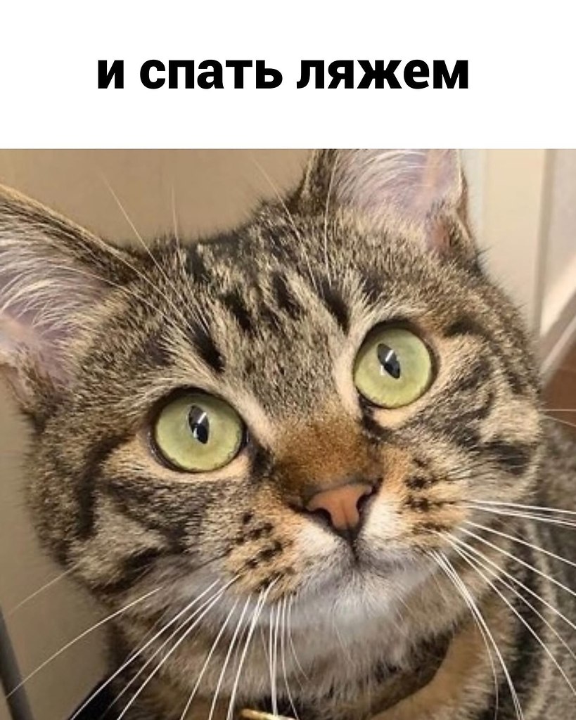  ,    , !  - 4