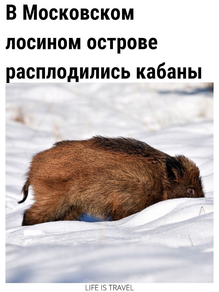LIFE -  - 2  2022  10:34