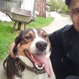 ���� ����, ������, 49 ��� - ��������� 15 ������� 2021