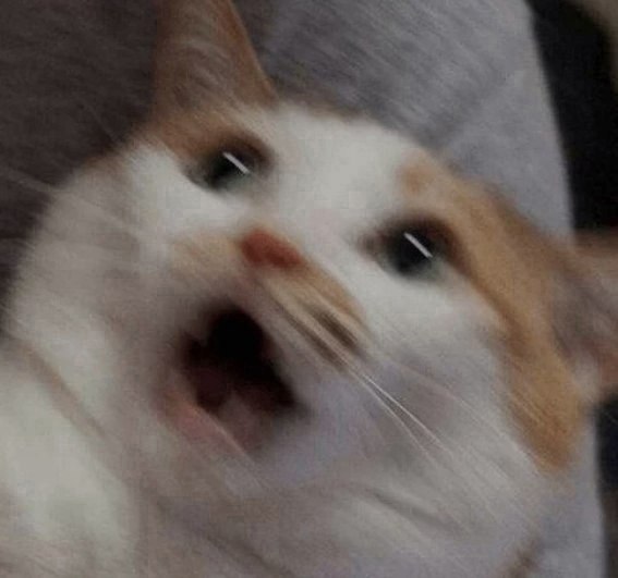    ,   - 4