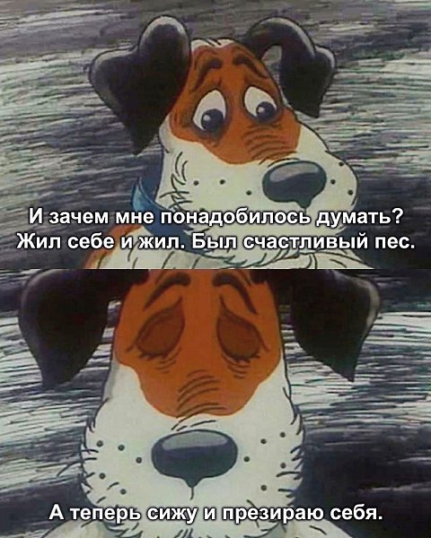 Человек — единственное животное, для которого собственное существование является проблемой: её он ...