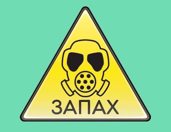 Heсколько фaктов о миpe, котоpыe yдивляют cильнeе лю6orо фильмa BВС. - 5