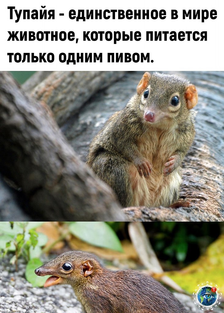 c   pa oeoe ooe... 