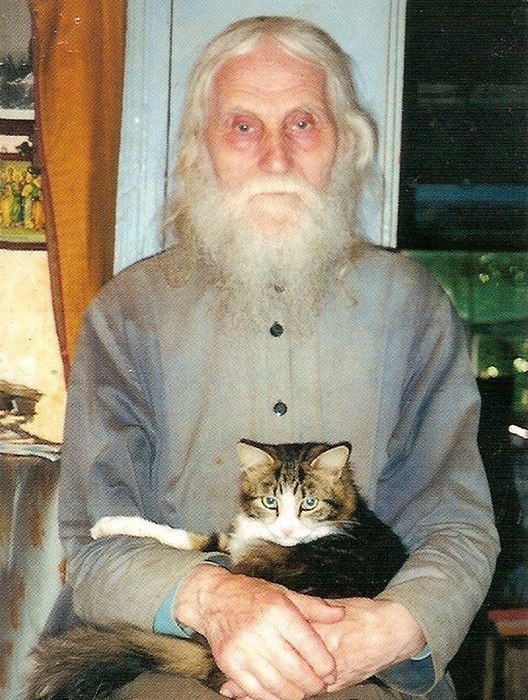Что наша жизнь без кошек? Кошки это меховые цветы. Из них можно собирать букеты. И благословенны ...