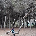 ���� ������, ������ - ��������� 31 ��� 2021 � ������ ���� ����������