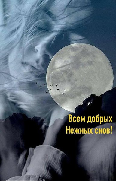   ,    . - 5  2021  22:41 - 3