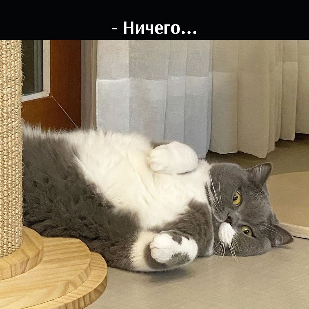       - 14  2021  19:11 - 2