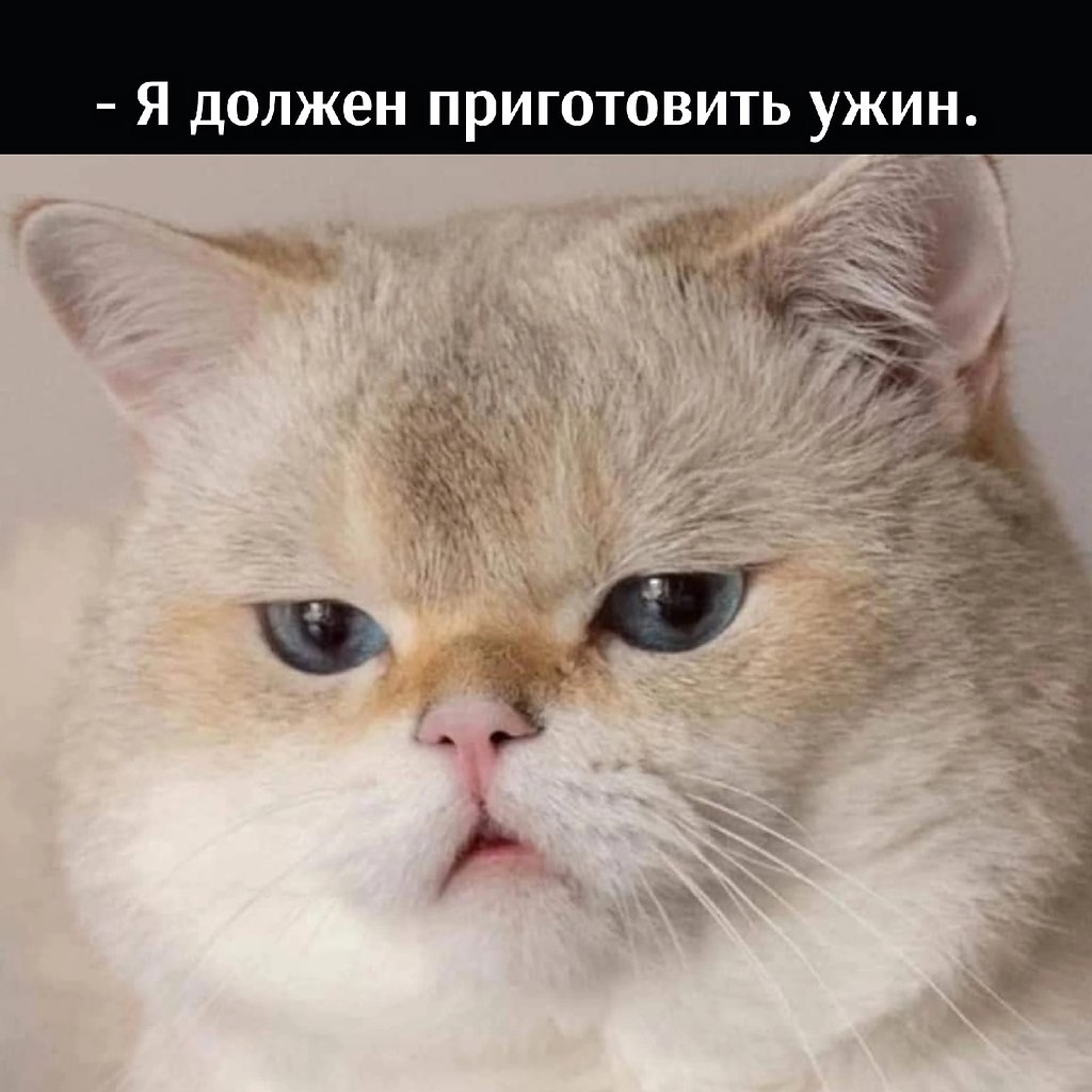       - 14  2022  19:13 - 2