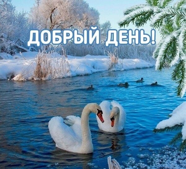   ,    . - 8  2022  13:41 - 10