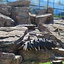  , , 69  -  16  2021   .  .