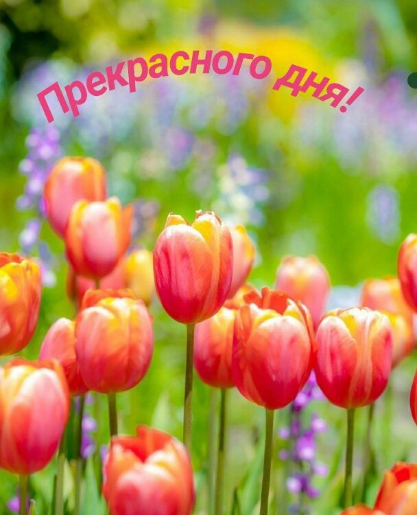   ,    . - 23  2021  11:52 - 4