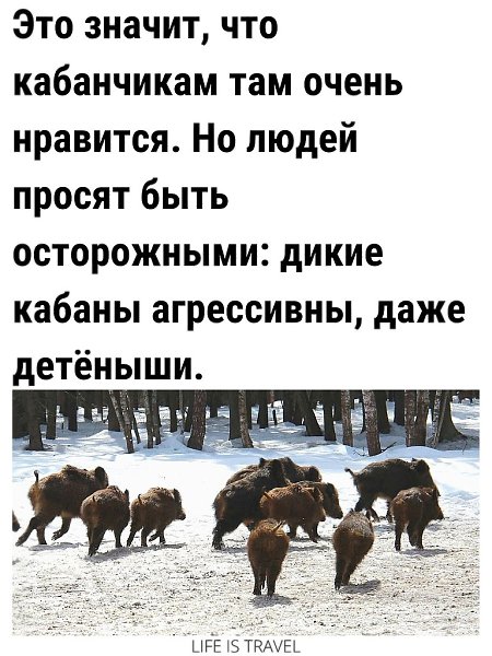 LIFE -  - 2  2022  10:34 - 2