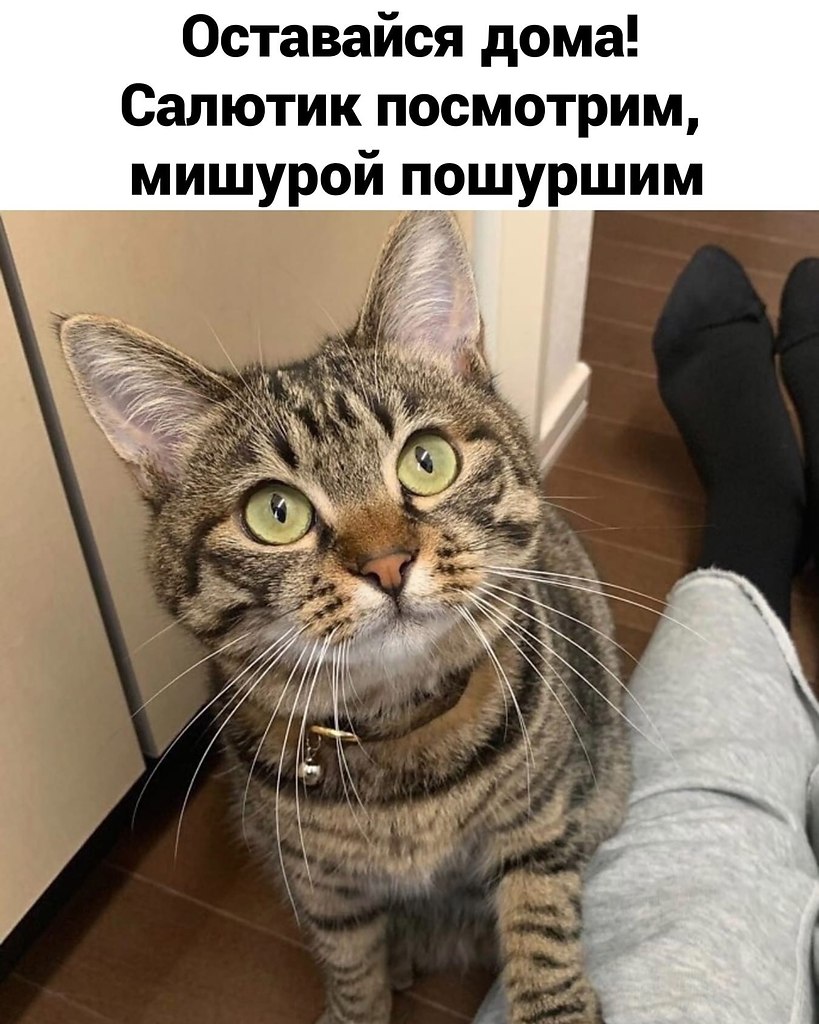  ,    , !  - 2
