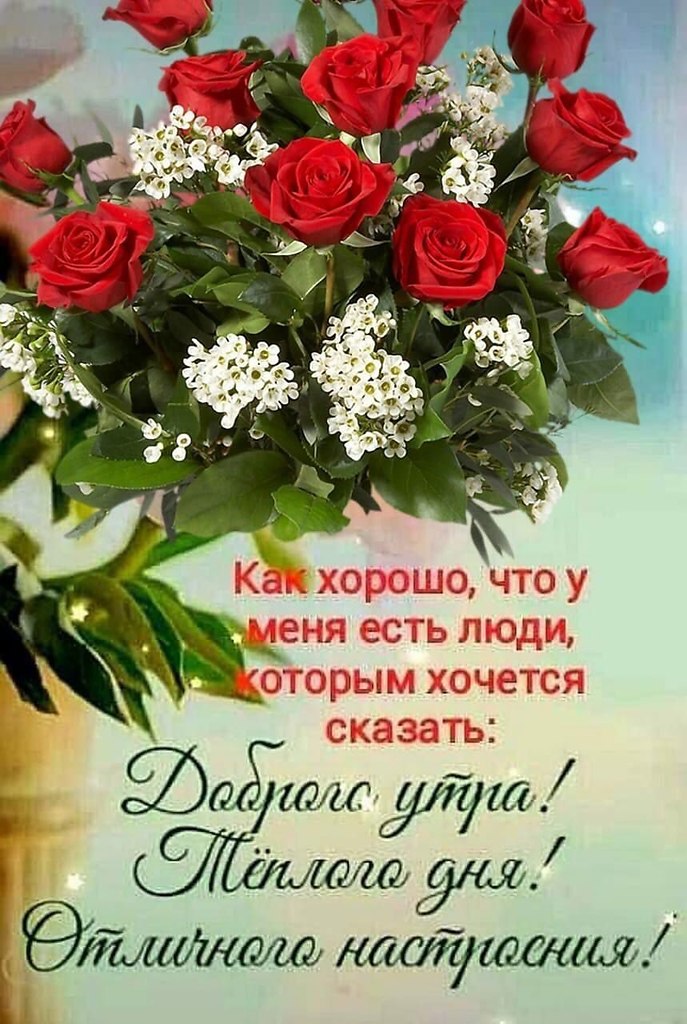   ,    . - 12  2021  01:03 - 9